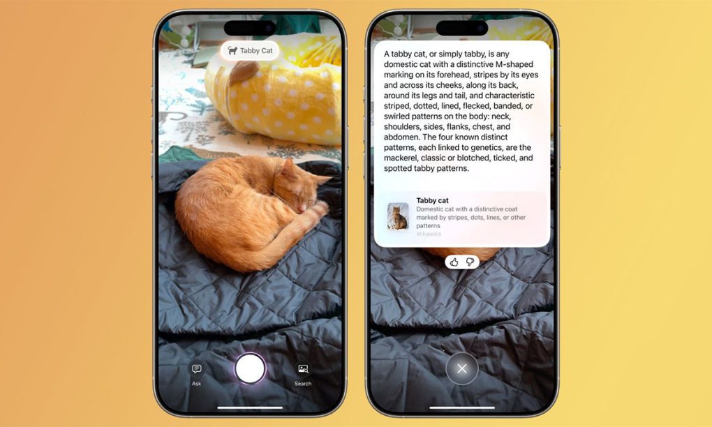 Loạt tính năng mới trên iOS 18.3 6 a1 1738080306 3630 1738080443